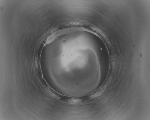 X0000066120313200603101242