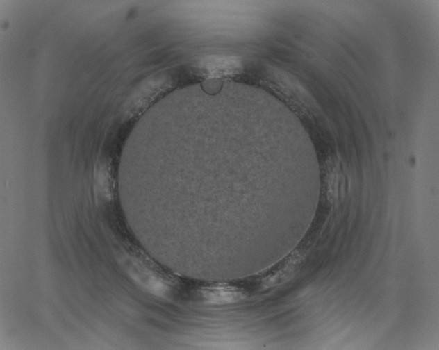 X0000066120316200603101242