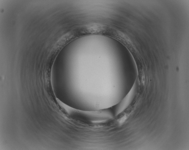 X0000066120317200603101242