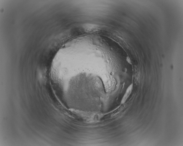 X0000066120319200603101242