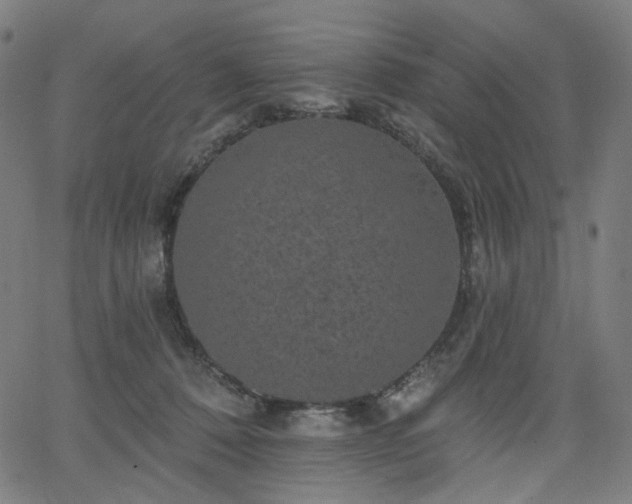 X0000066120320200603101242