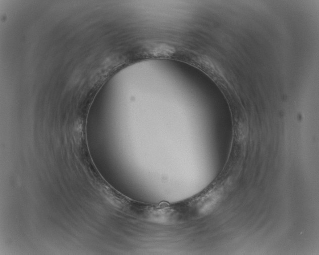 X0000066120321200603101242