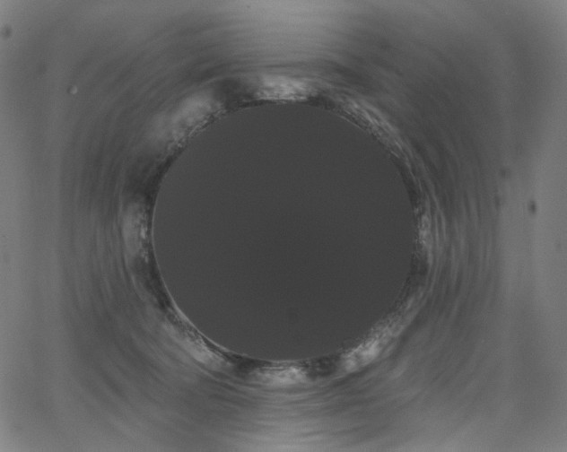 X0000066120322200603101242