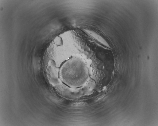 X0000066120323200603101242