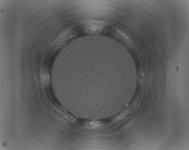 X0000066120324200603101242