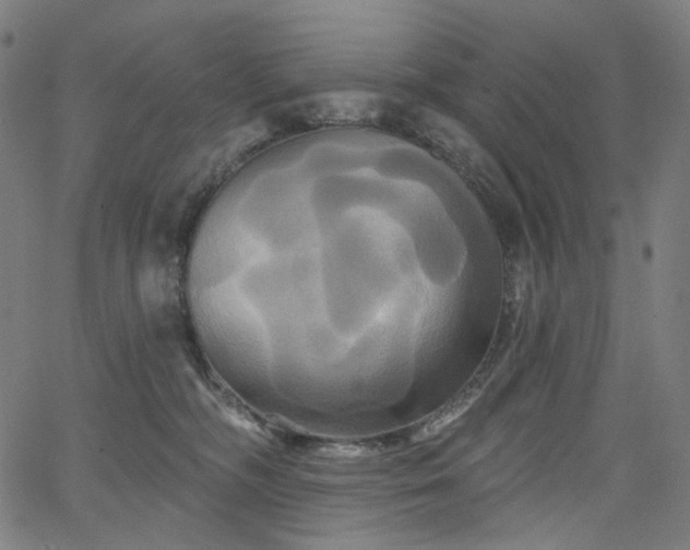 X0000066120326200603101242