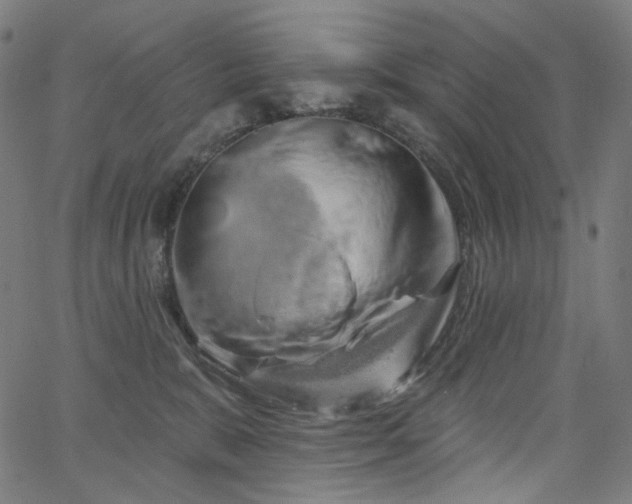 X0000066120327200603101242