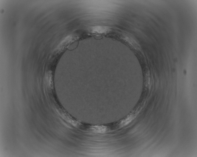 X0000066120328200603101242