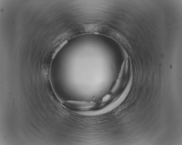 X0000066120329200603101242