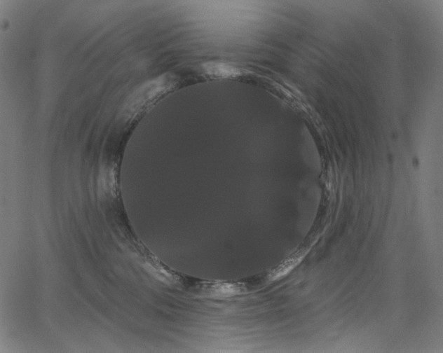 X0000066120330200603101242