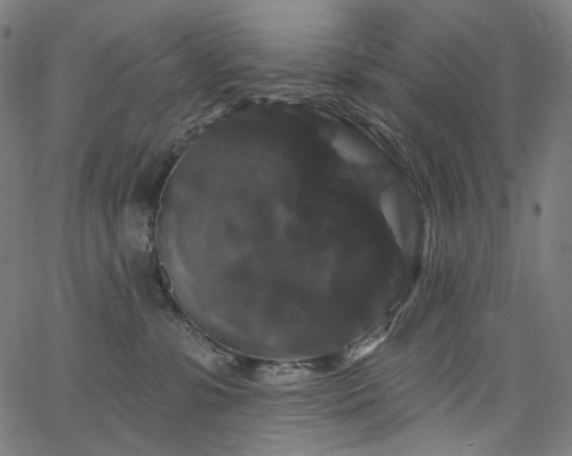 X0000066120331200603101242