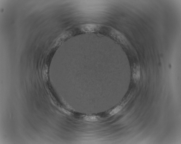 X0000066120332200603101242