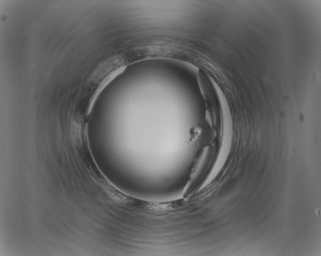 X0000066120333200603101242