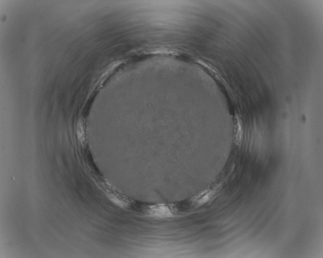 X0000066120335200603101242