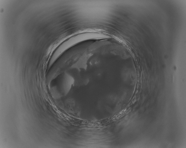 X0000066120337200603101241