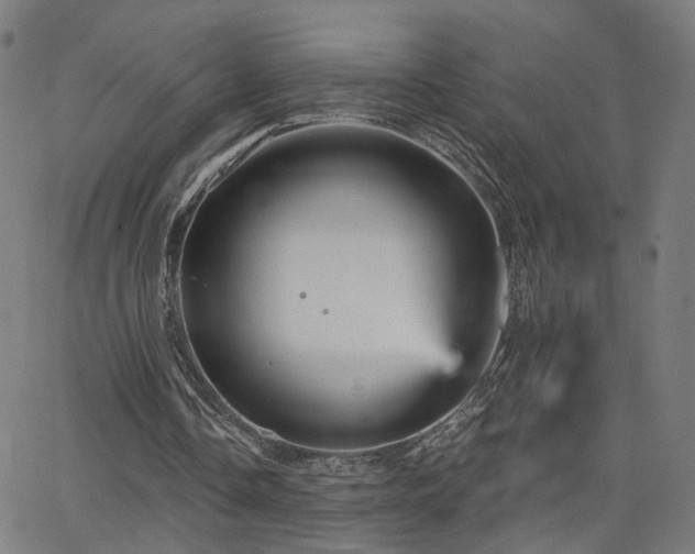 X0000066120338200603101241