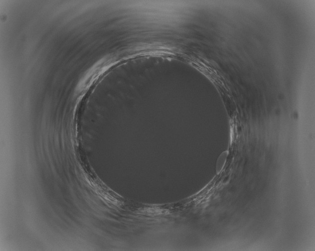 X0000066120339200603101241