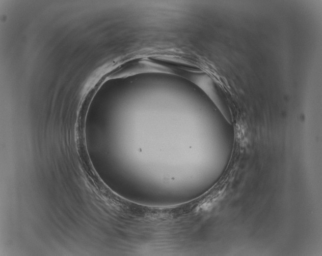 X0000066120340200603101241