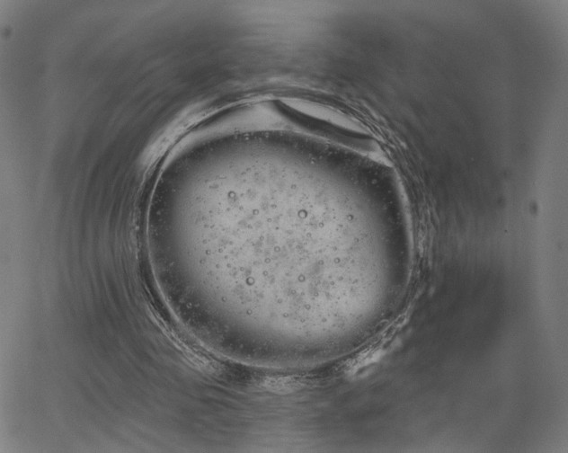 X0000066120341200603101241