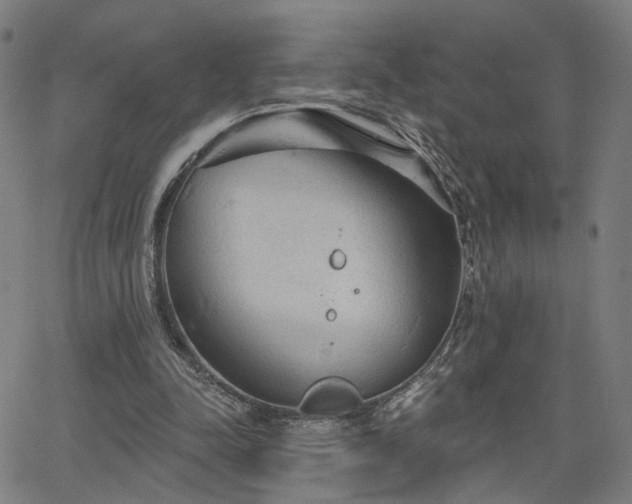 X0000066120342200603101241