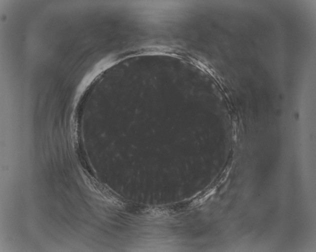 X0000066120343200603101241