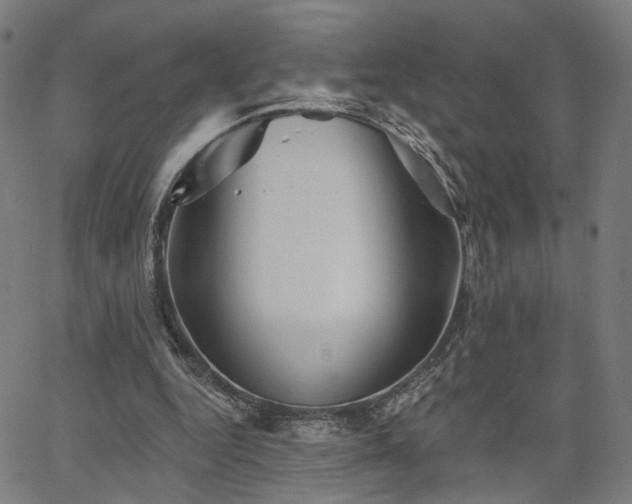 X0000066120344200603101241