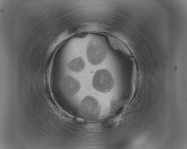 X0000066120345200603101241