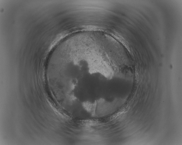 X0000066120347200603101241