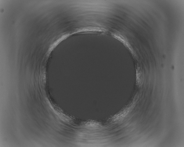 X0000066120348200603101241