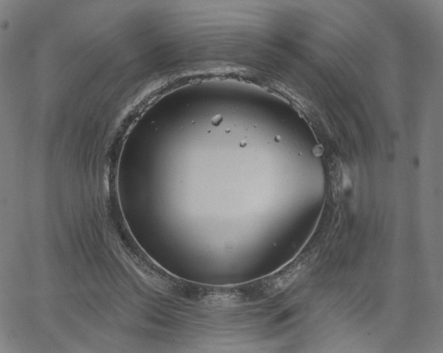 X0000066120350200603101241