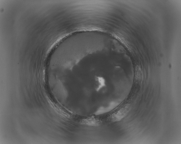 X0000066120351200603101241