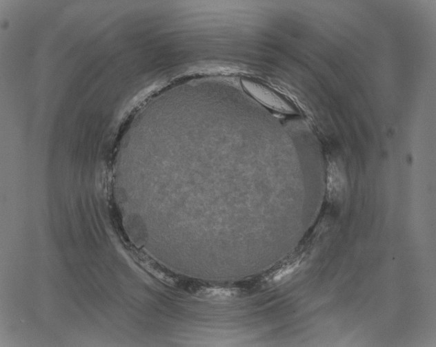 X0000066120352200603101241