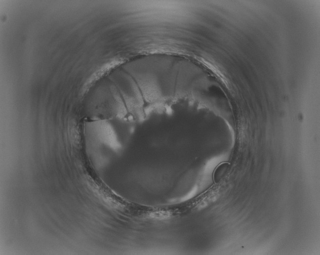 X0000066120353200603101241