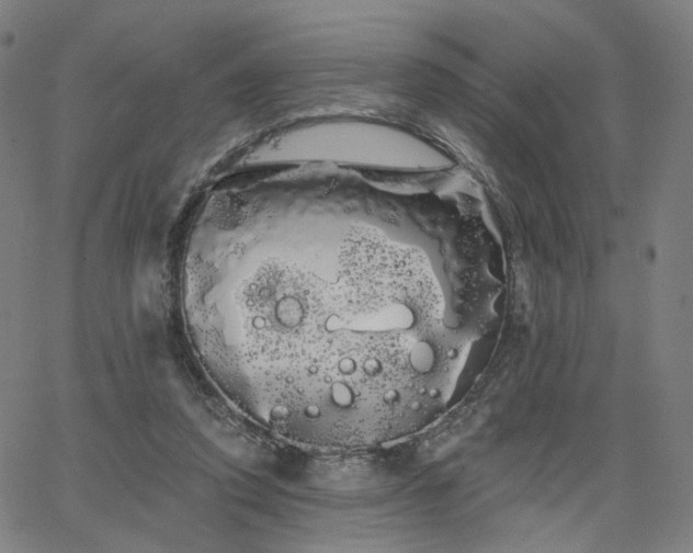 X0000066120354200603101241