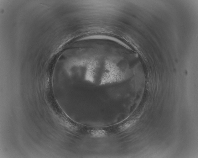 X0000066120355200603101241