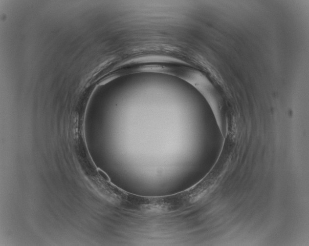 X0000066120356200603101241