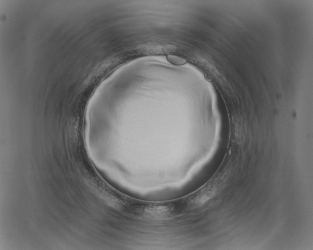 X0000066120357200603101241