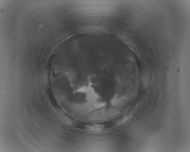 X0000066120359200603101241