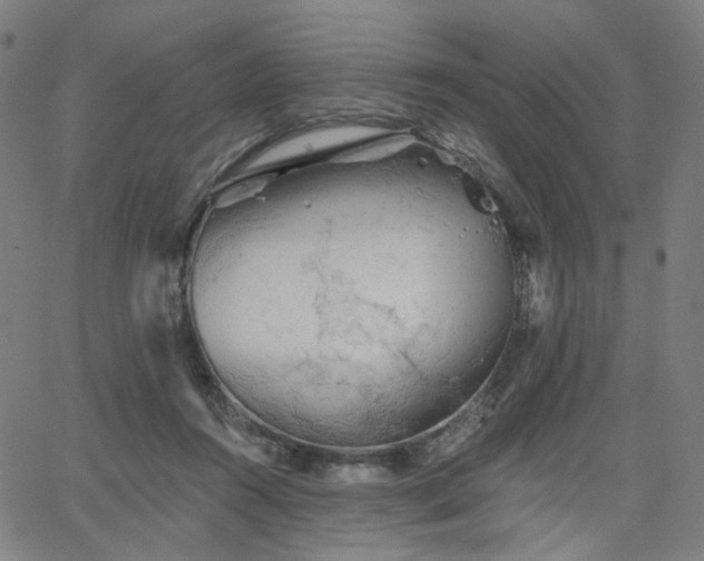 X0000066120360200603101241