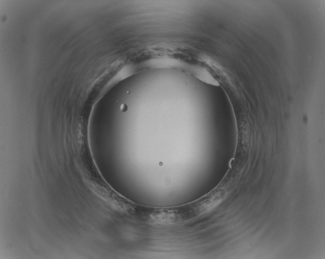 X0000066120362200603101241