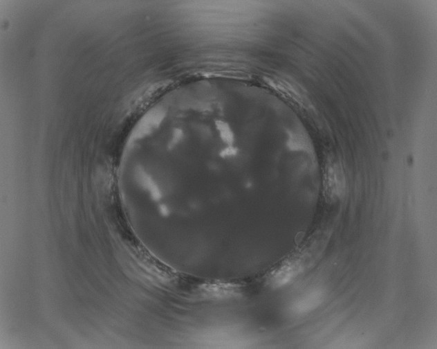 X0000066120367200603101241