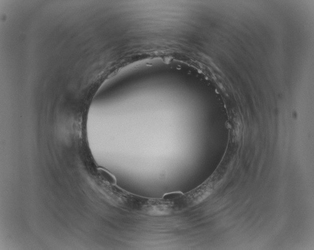 X0000066120368200603101241