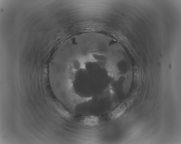 X0000066120369200603101241