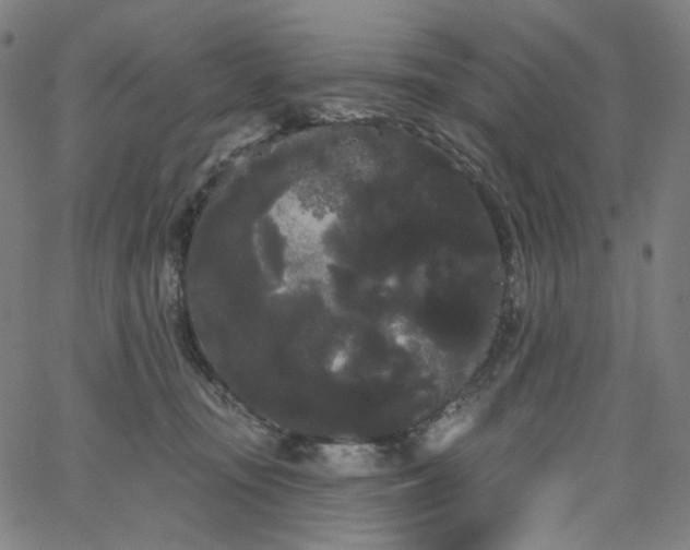 X0000066120371200603101241