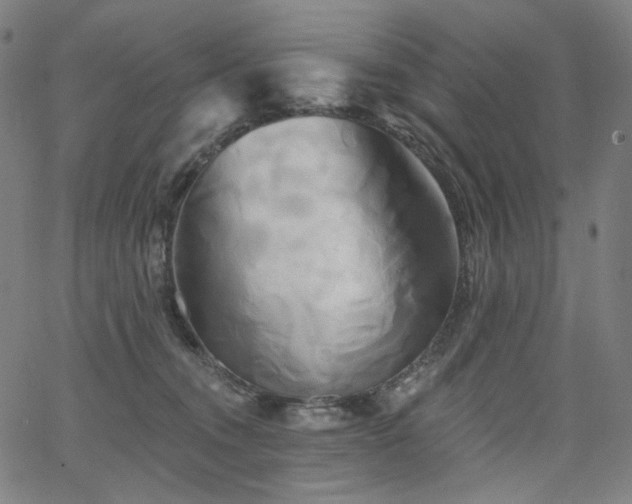 X0000066120372200603101241