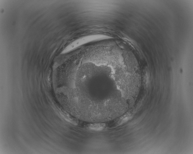 X0000066120373200603101241