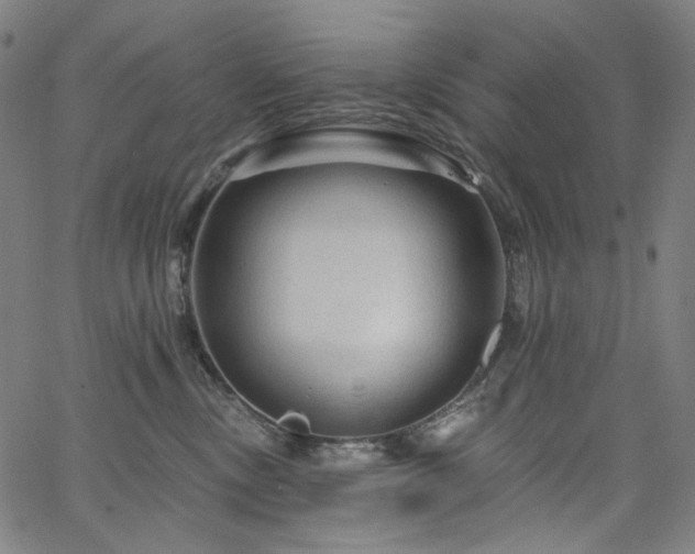 X0000066120378200603101241