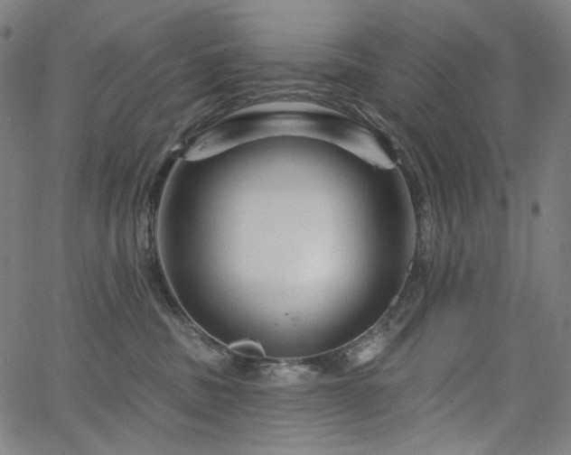 X0000066120379200603101241