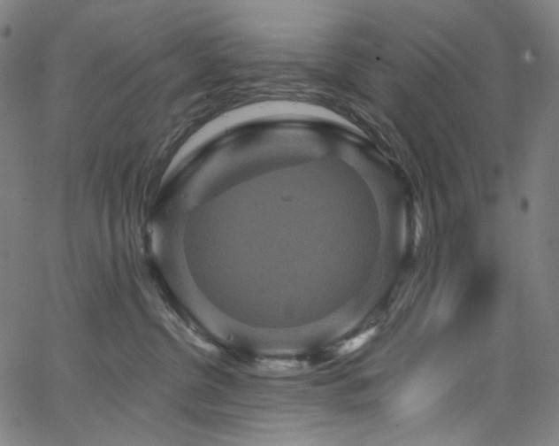 X0000066120380200603101241