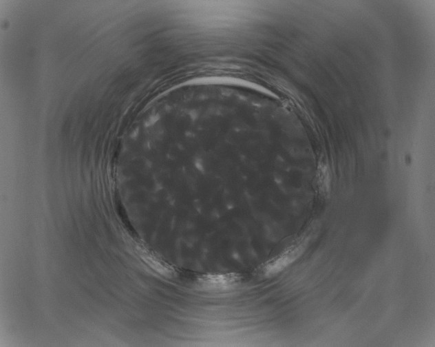 X0000066120381200603101241